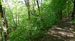 111_TZ60_P1110284_cr