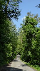 117_TZ60_P1110290_cr