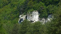 130_TZ60_P1110303_cr