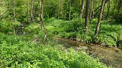 135_TZ60_P1110308_cr