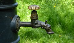 139_TZ60_P1110312_cr