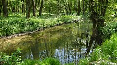 140_TZ60_P1110313_cr