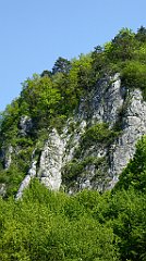 190_TZ60_P1110329_cr