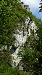 270_TZ60_P1110341_cr