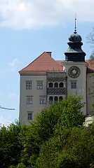 364_TZ60_P1110353_cr