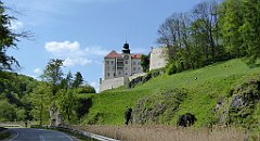 367_TZ60_P1110355_cr