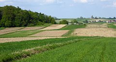 444_TZ60_P1110385_cr