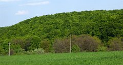 449_TZ60_P1110390_cr