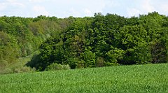 452_TZ60_P1110393_cr