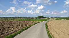 459_TZ60_P1110400_cr