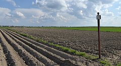 463_TZ60_P1110404_cr