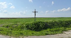 475_TZ60_P1110416_cr