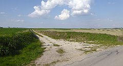 476_TZ60_P1110417_cr