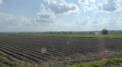 483_TZ60_P1110424_cr