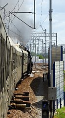 054_TZ60_P1110491_cr