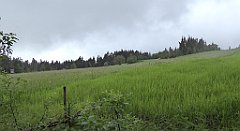 0023_TZ60_P1110551_cr