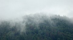 0070_TZ60_P1110573_cr