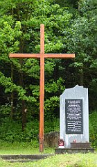 0082a_TZ60_P1110578_cr