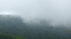 0171_TZ60_P1110584_cr