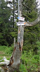 0242_TZ60_P1110606_cr