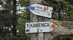 0243_TZ60_P1110607_cr