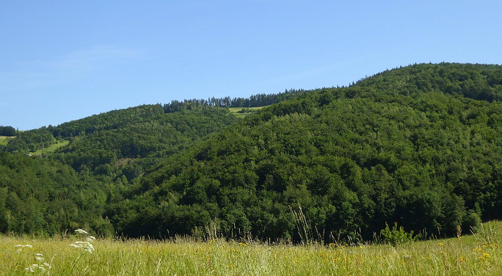 0143_TZ60_P1110716_cr.jpg