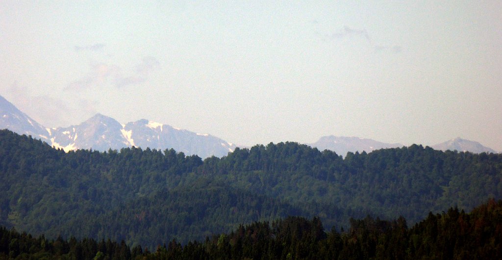 0161_TZ60_P1110739_cr.jpg