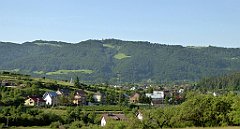 0046_TZ60_P1110631_cr