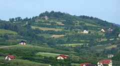 0063_TZ60_P1110653_cr