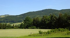 0109_TZ60_P1110689_cr