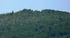 0118_TZ60_P1110696_cr