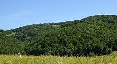 0143_TZ60_P1110716_cr