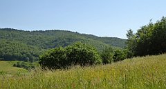 0146_TZ60_P1110721_cr