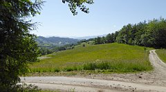 0170_TZ60_P1110750_cr