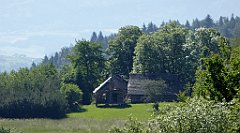 0174_TZ60_P1110754_cr