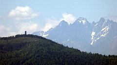 0189_TZ60_P1110766_cr