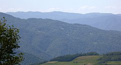 0198_TZ60_P1110775_cr