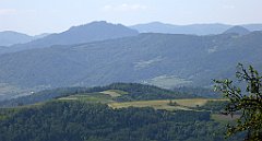 0201_TZ60_P1110778_cr