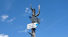 0265a_3D_P1080540_cr