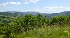 0335_TZ60_P1110847_cr