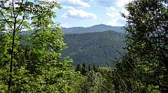 0368_TZ60_P1110858_cr