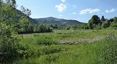 0386_TZ60_P1110861_cr