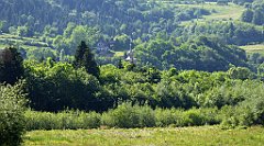 0387_TZ60_P1110862_cr