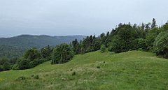 018_TZ60_P1110872_cr