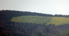 022_TZ60_P1110876_cr