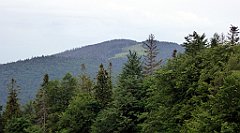 028_TZ60_P1110882_cr