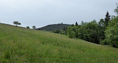 033_TZ60_P1110885_cr