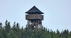 035_TZ60_P1110887_cr