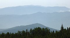 052_TZ60_P1110908_cr