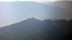 055_TZ60_P1110912_cr